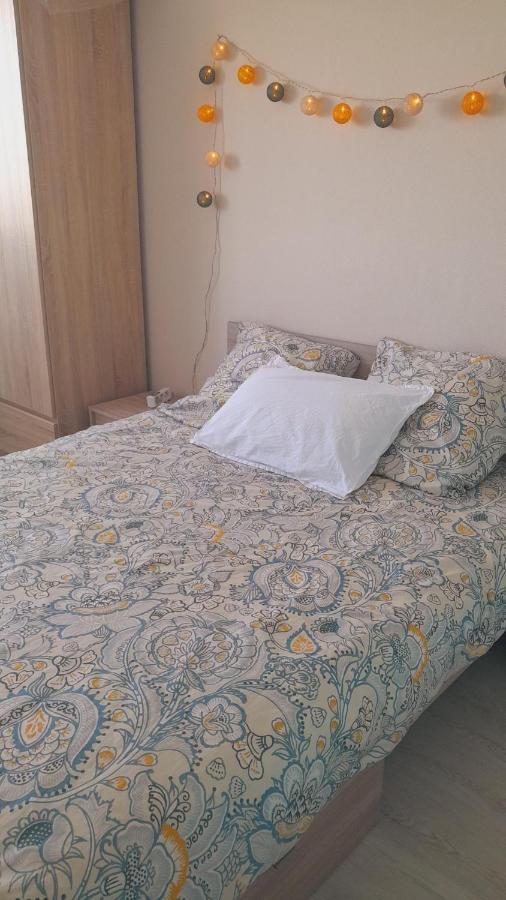 Châteauroux : bel appartement avec balcon Exterior foto